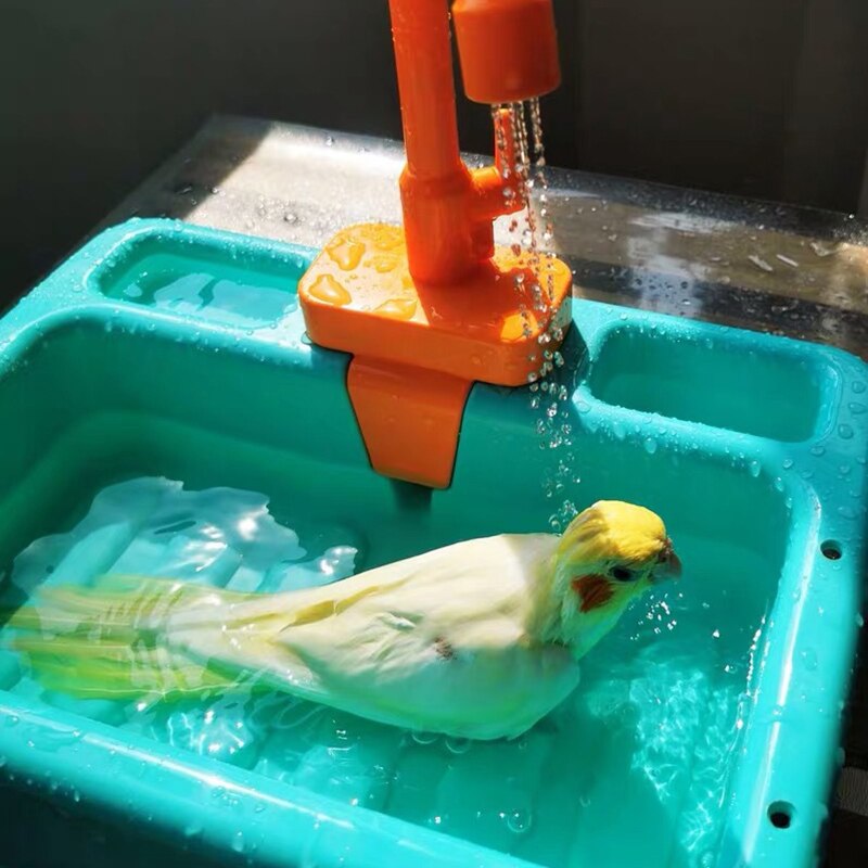 #178  Bird Sprinkling Bathtub